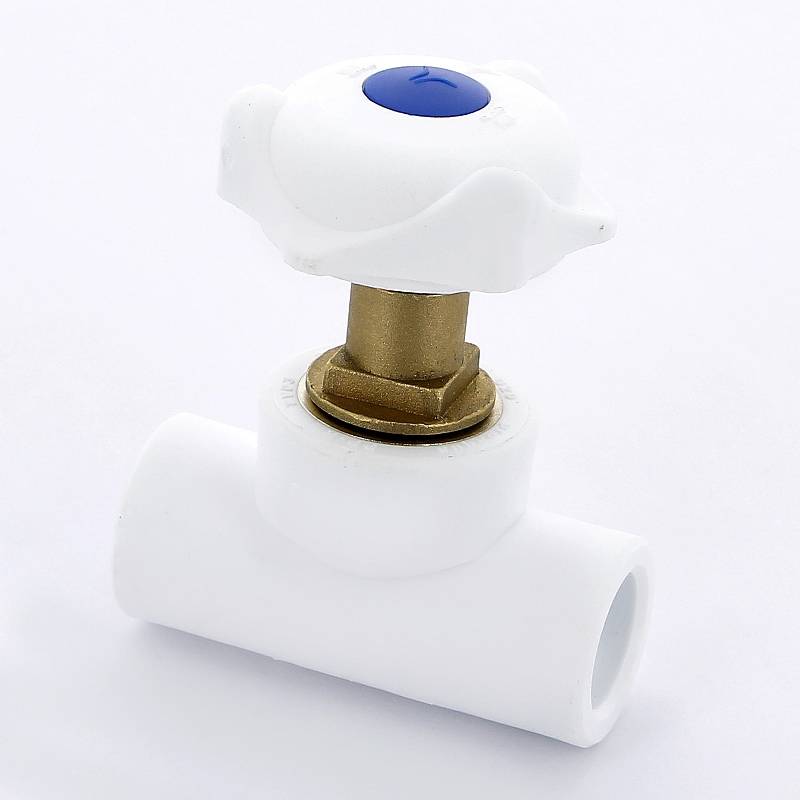 Вентиль полипропиленовый Pro Aqua 20 мм PA42009