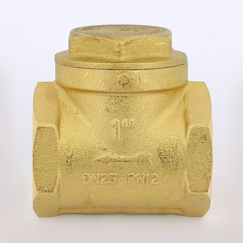 Клапан обратный горизонтальный лепестковый ITAP CLAPET 130 1 ВР 130 1