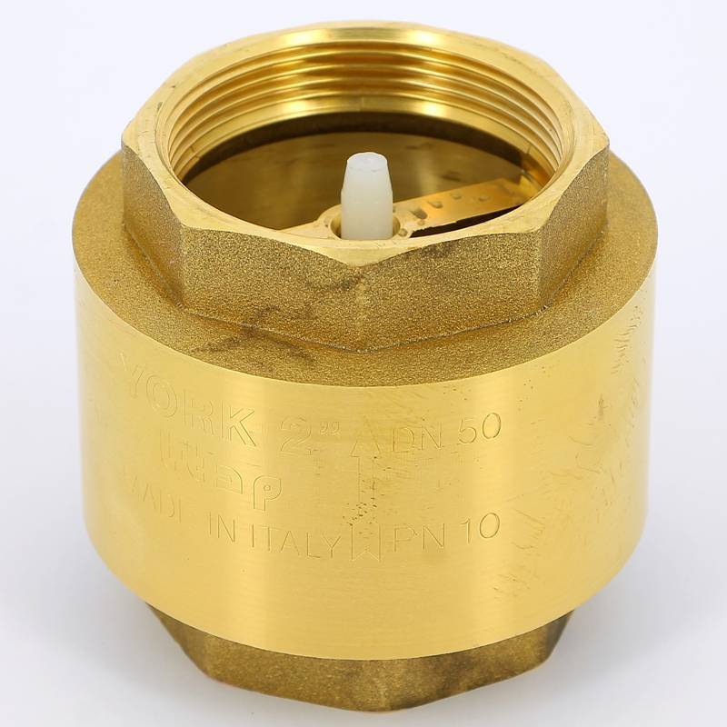 Клапан обратный пружинный ITAP EUROPA 100 2 с металлическим затвором 1000200