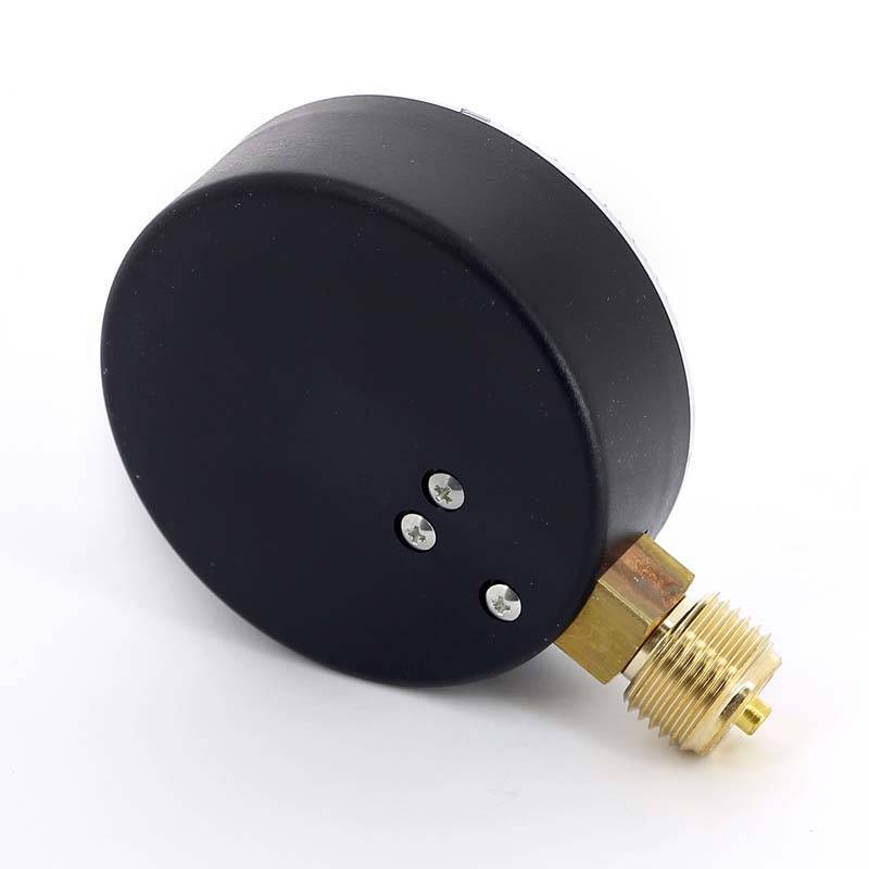 Манометр радиальный Watts F+R200 80 мм 1/2 25 бар 10007795