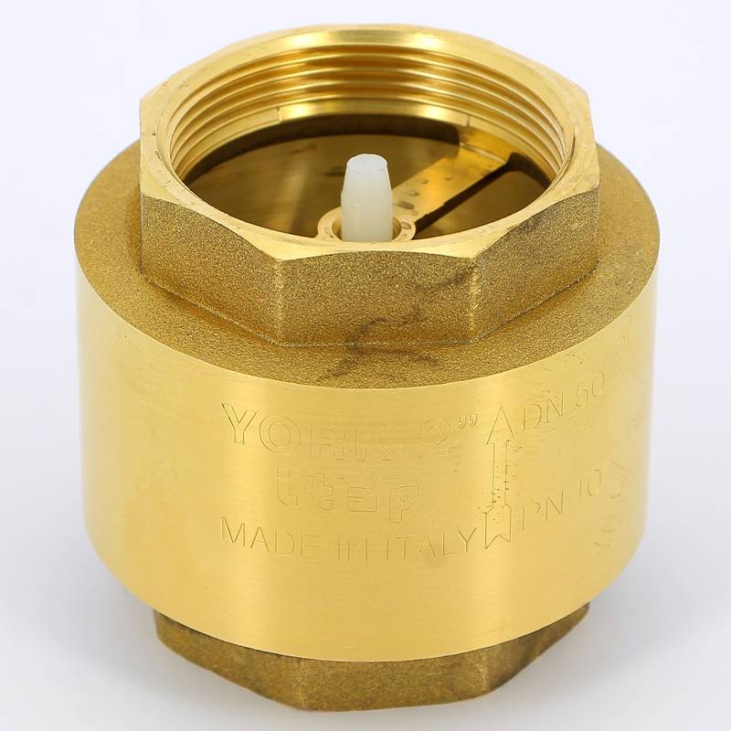 Клапан обратный пружинный ITAP EUROPA 100 2 с металлическим затвором 1000200