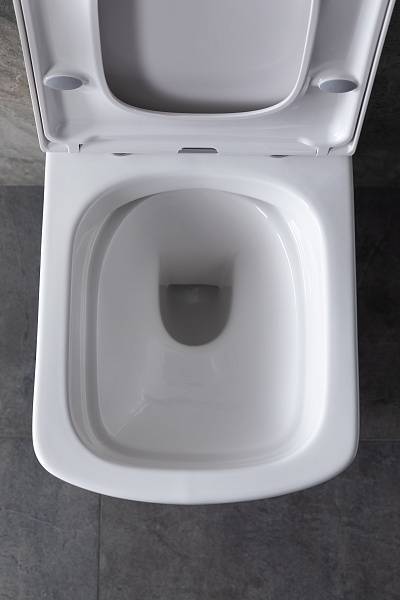 Унитаз подвесной Allen Brau Liberty с сиденьем-крышкой белый 4.32003.20