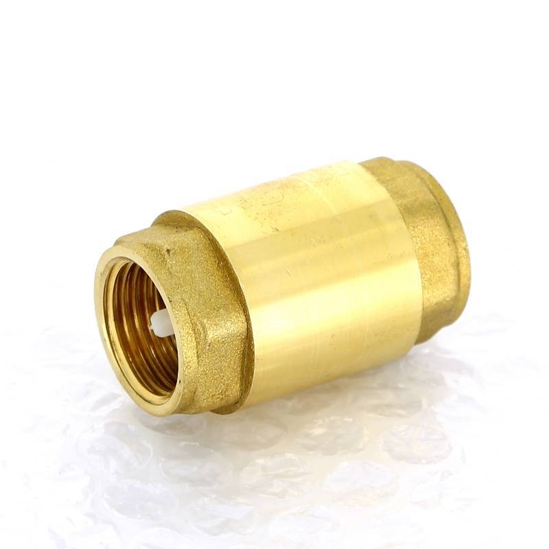 Клапан обратный пружинный Uni-Fitt серия 221 с пластиковым затвором 1/2 221B2000