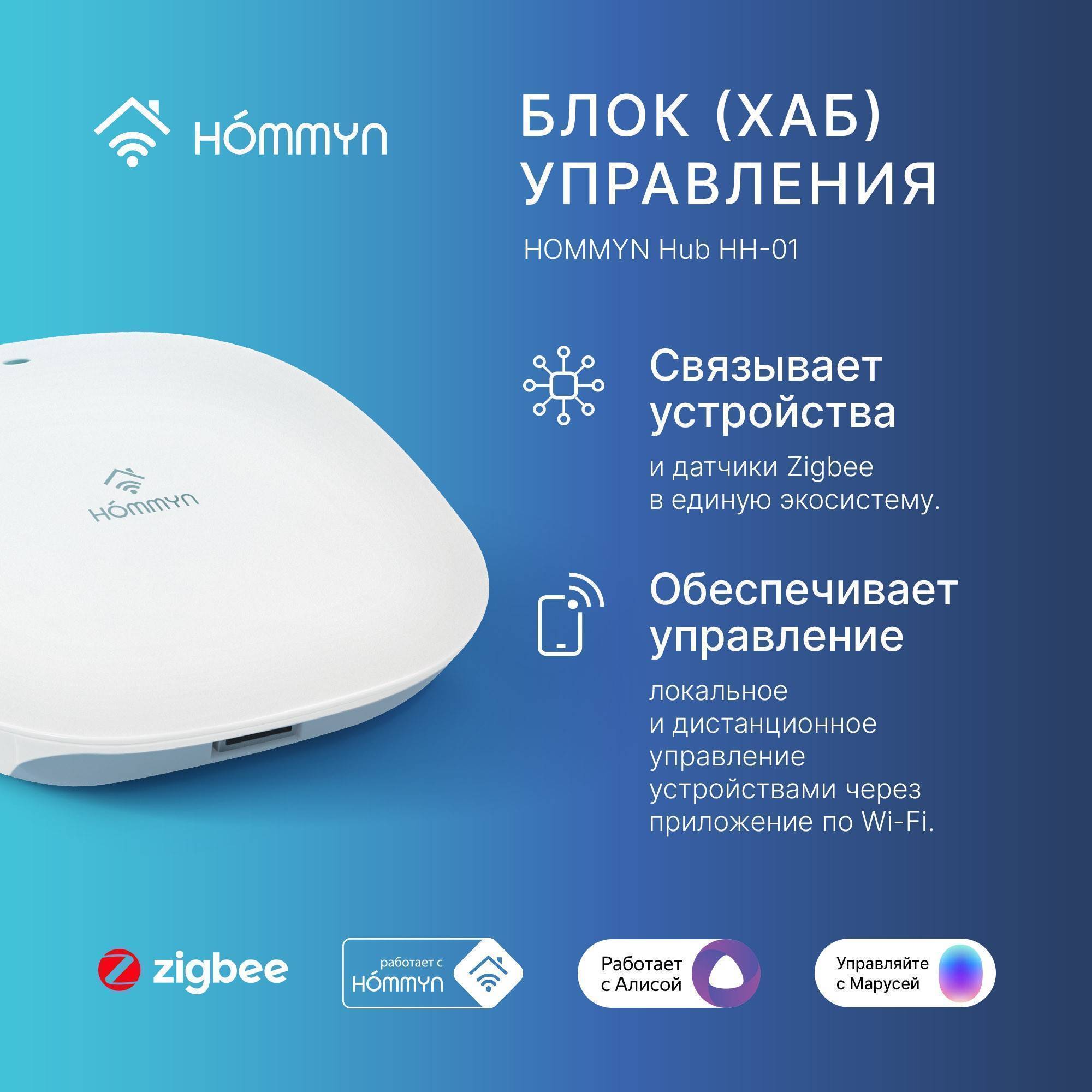 Комплект из 3 умных розеток и хаба HOMMYN SP3HOMKIT07