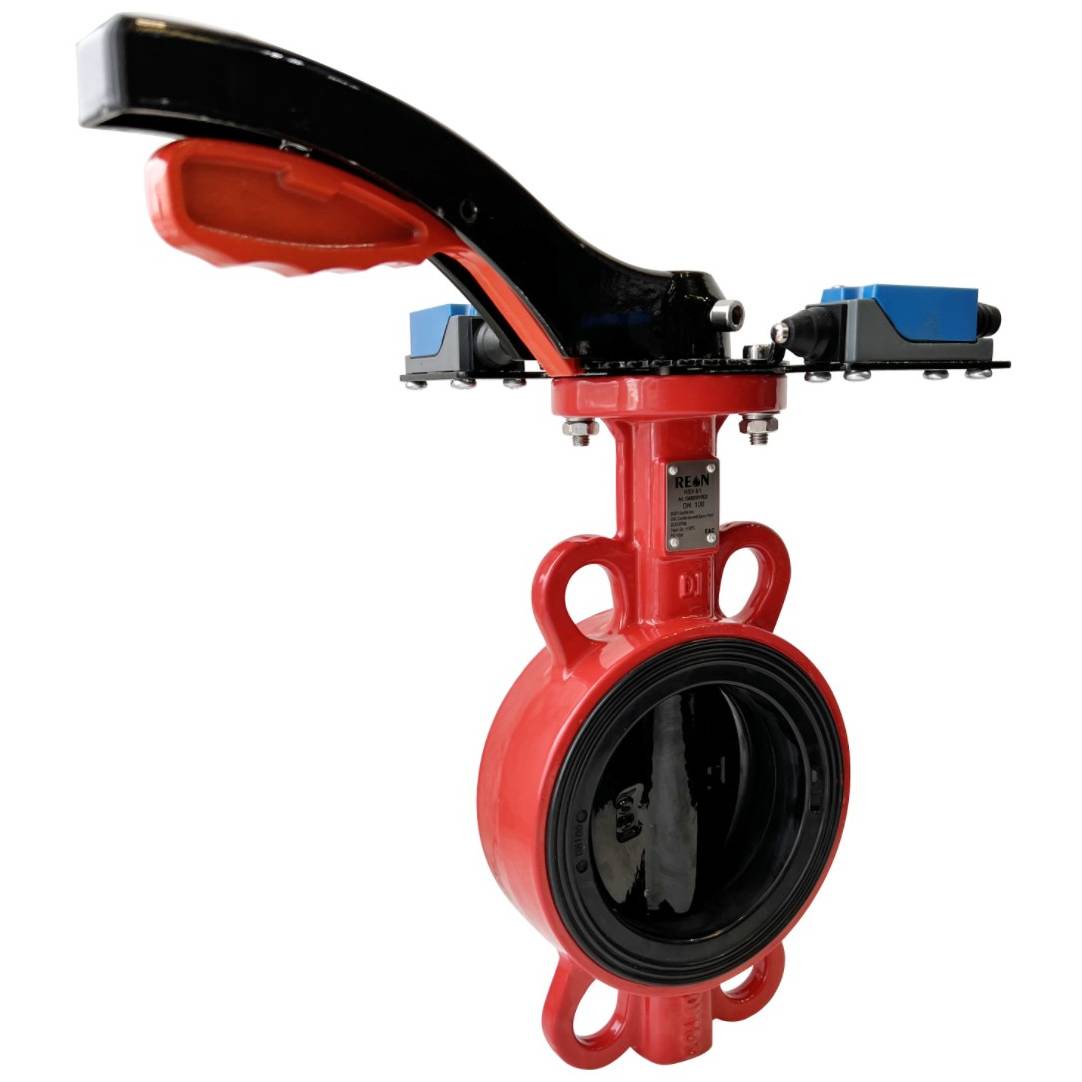 Затвор дисковый поворотный REON RSV81 Ду 50 1602240