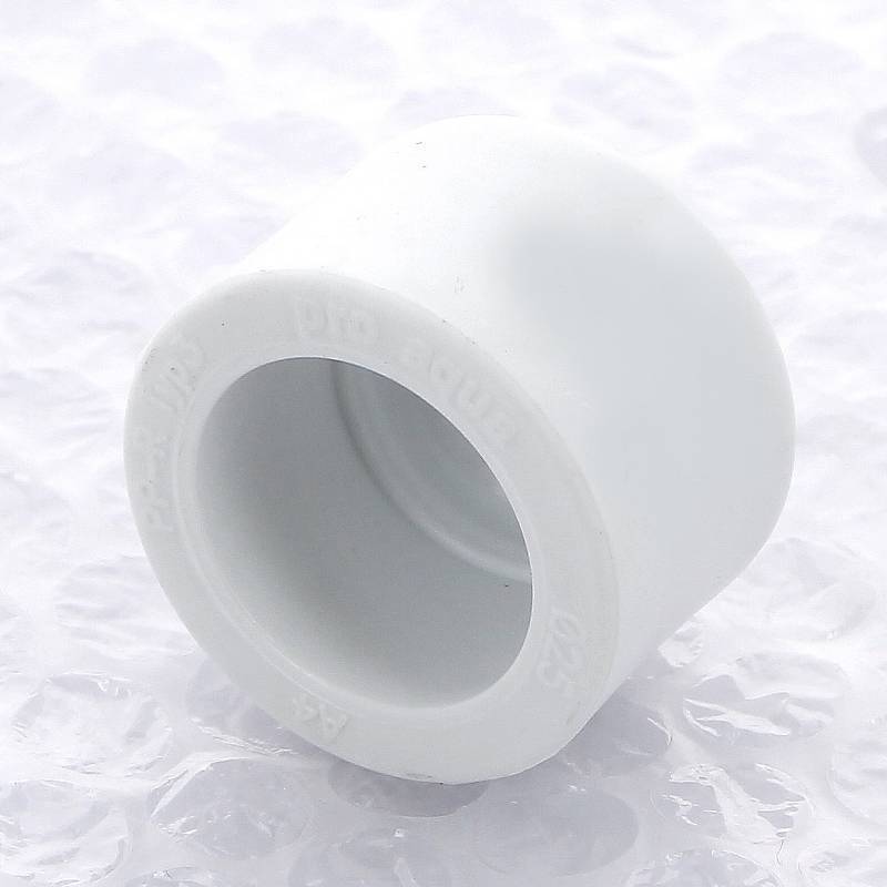 Заглушка полипропиленовая Pro Aqua 25 мм PA15010P