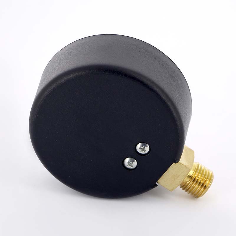 Манометр радиальный Watts F+R200 63 мм 1/4 6 бар 10007723