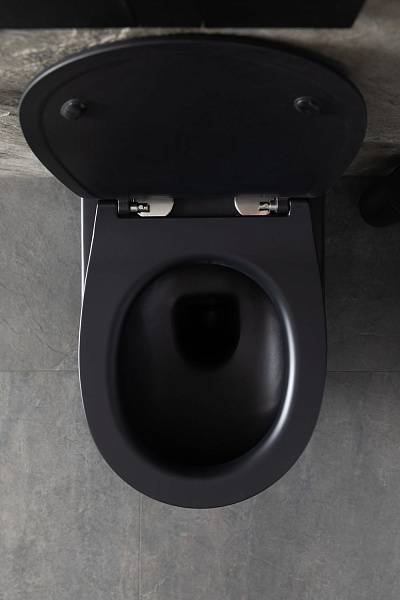 Чаша подвесного унитаза Allen Brau Reality черный 4.32006.31