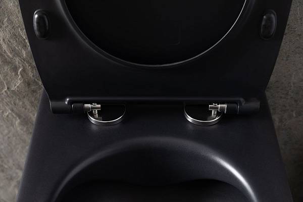 Чаша подвесного унитаза Allen Brau Reality черный 4.32006.31