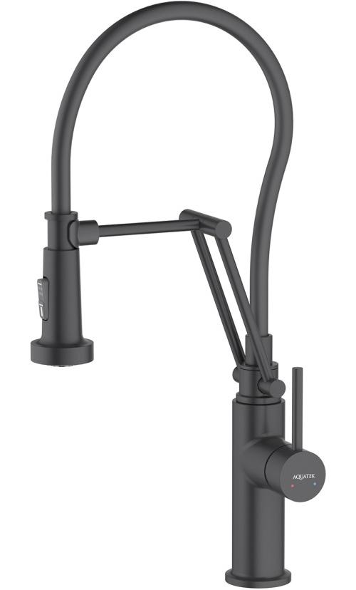 Смеситель для кухни Aquanet Европа профессиональный 2 jet матовый черный AQ1388MB