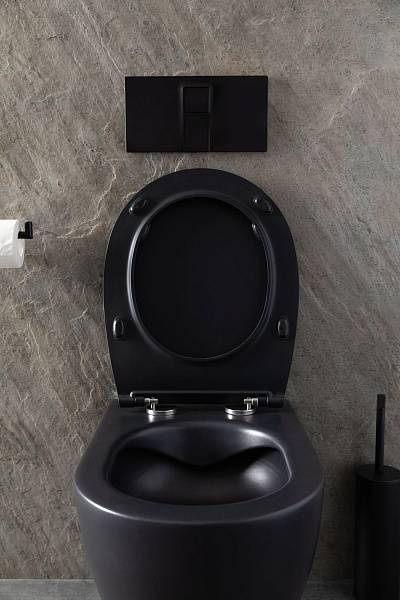 Чаша подвесного унитаза Allen Brau Reality черный 4.32006.31