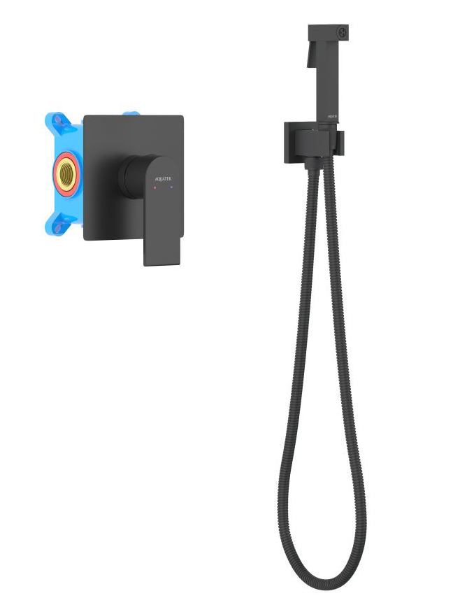 Набор с гигиеническим душем Aquanet Лира (смеситель, лейка, шланг, подсоединение) матовый черный AQ1419MB