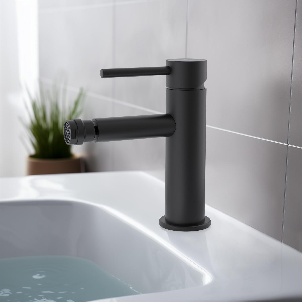 Смеситель для биде Aquanet Европа AQ1318MB матовый черный AQ1318MB