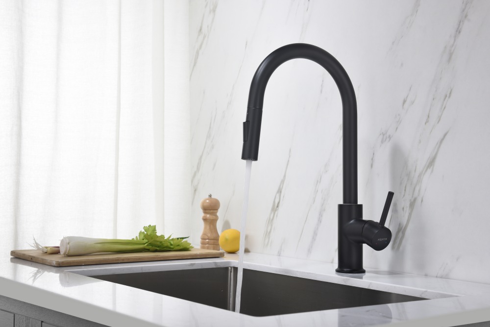 Смеситель для кухни Aquanet Европа с вытяжным изливом 2 jet матовый черный AQ1384MB