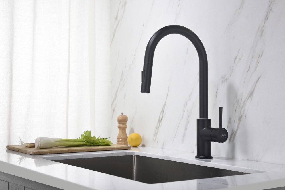 Смеситель для кухни Aquanet Европа с вытяжным изливом 2 jet матовый черный AQ1384MB