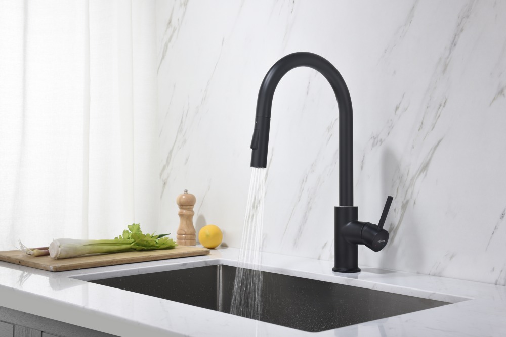 Смеситель для кухни Aquanet Европа с вытяжным изливом 2 jet матовый черный AQ1384MB