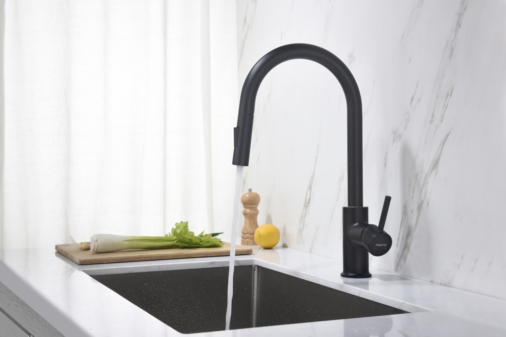 Смеситель для кухни Aquanet Европа с вытяжным изливом 2 jet матовый черный AQ1384MB