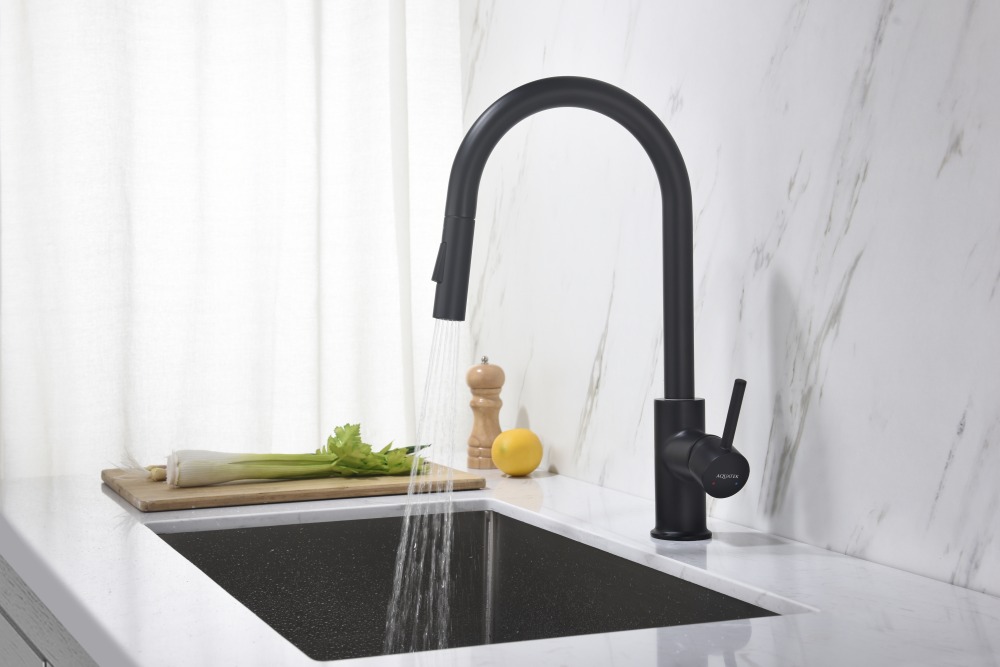 Смеситель для кухни Aquanet Европа с вытяжным изливом 2 jet матовый черный AQ1384MB