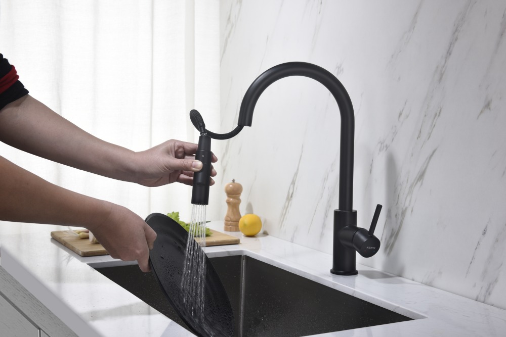 Смеситель для кухни Aquanet Европа с вытяжным изливом 2 jet матовый черный AQ1384MB