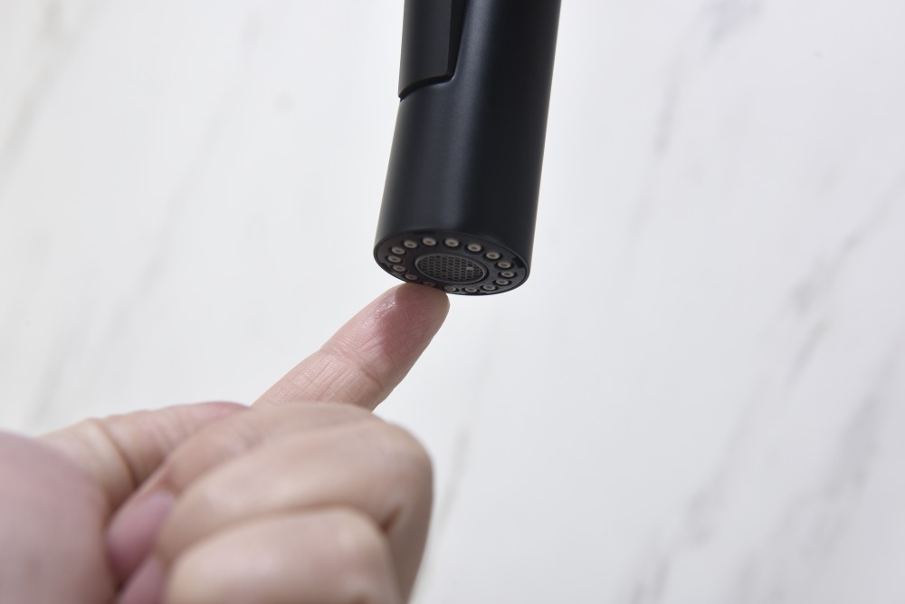 Смеситель для кухни Aquanet Европа с вытяжным изливом 2 jet матовый черный AQ1384MB