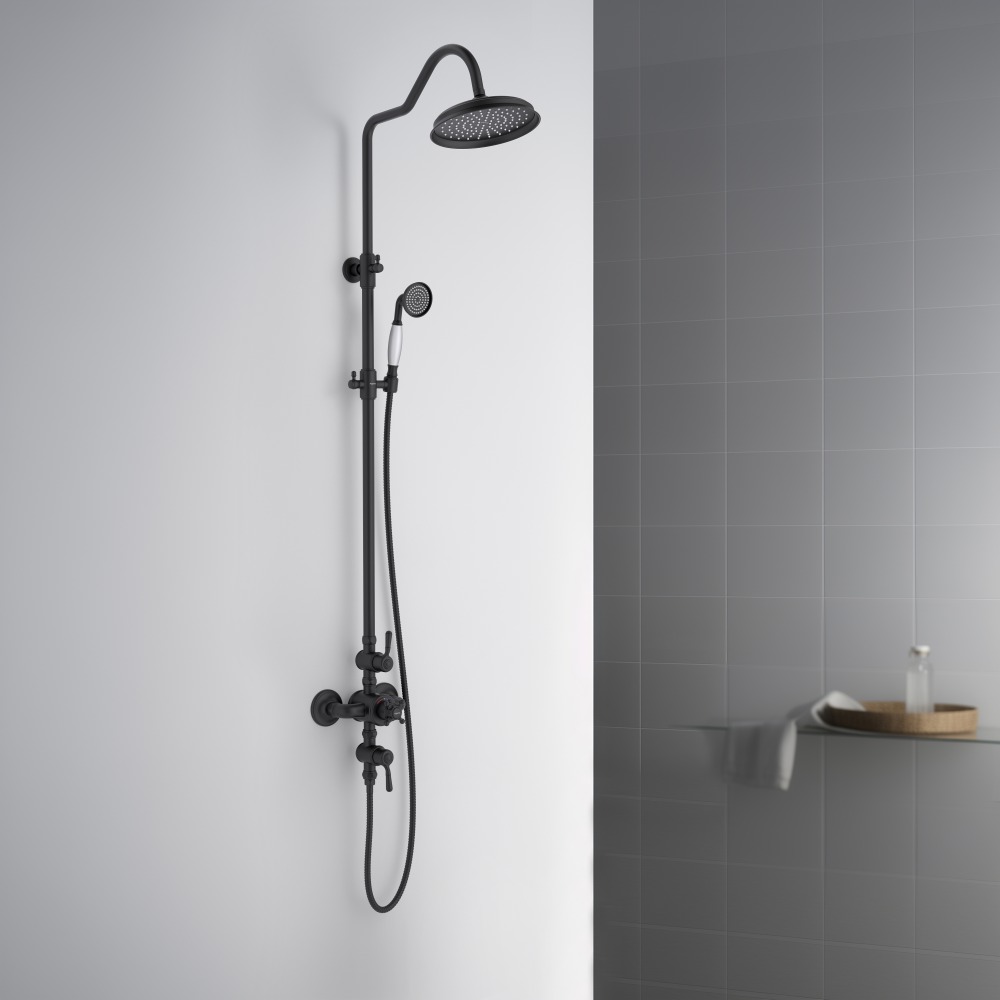 Душевая система Aquanet Классик AQ2563MB термостатическая со смесителем для душа 220 мм матовый черный AQ2563MB