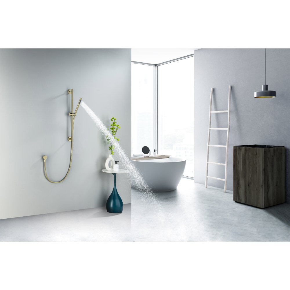 Душевой гарнитур Aquanet Европа 1jet 65 см шлифованное золото AQ2012BG