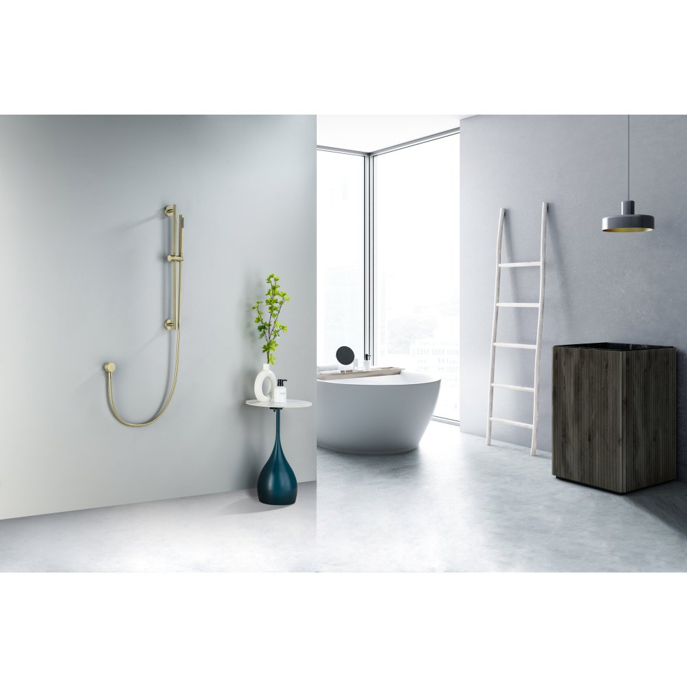 Душевой гарнитур Aquanet Европа 1jet 65 см шлифованное золото AQ2012BG