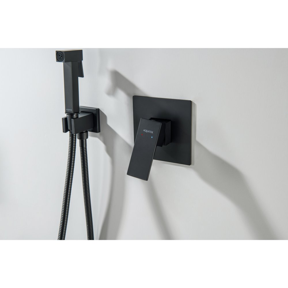 Набор с гигиеническим душем Aquanet Лира (смеситель, лейка, шланг, подсоединение) матовый черный AQ1419MB