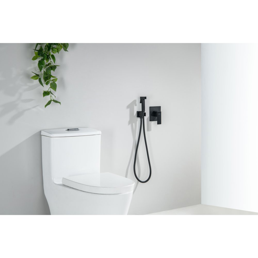 Набор с гигиеническим душем Aquanet Лира (смеситель, лейка, шланг, подсоединение) матовый черный AQ1419MB