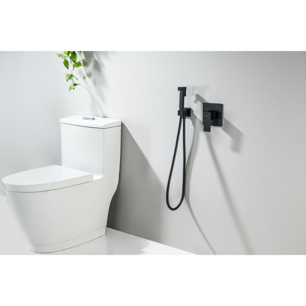 Набор с гигиеническим душем Aquanet Лира (смеситель, лейка, шланг, подсоединение) матовый черный AQ1419MB