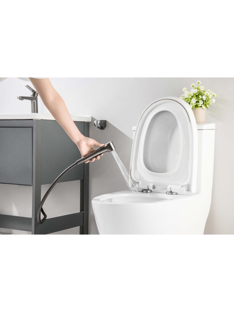 Смеситель для раковины Aquanet Лугано 106 мм с гигиеническим душем оружейная сталь AQ1712BGM