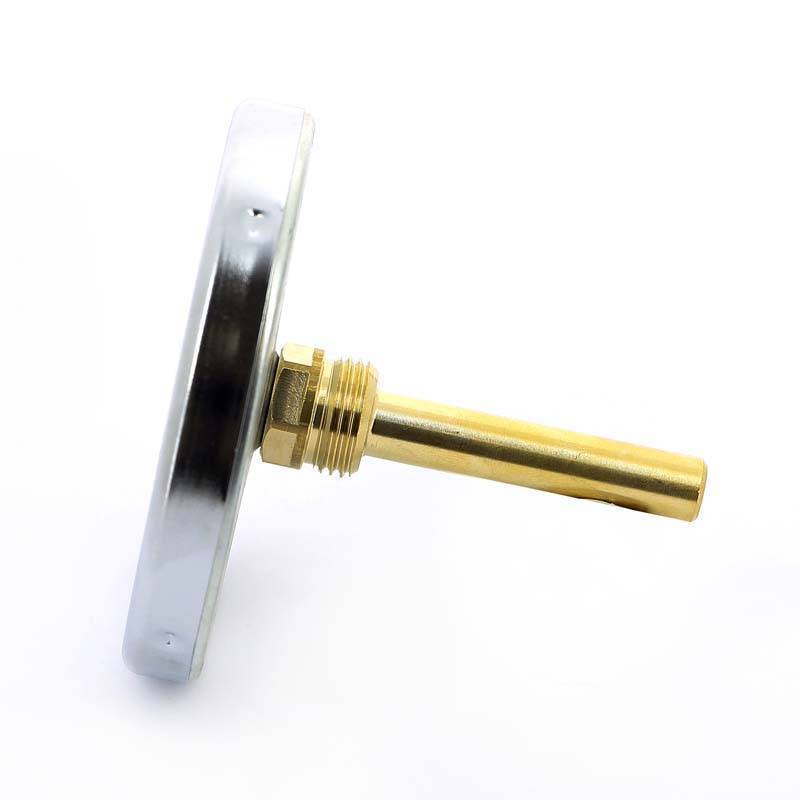 Термометр биметаллический Watts F+R801 100 мм 0-120 °C погружной гильза 75 мм 10006071