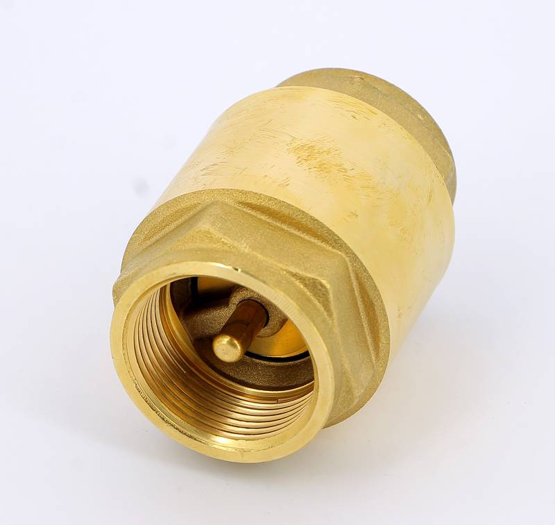 Клапан обратный пружинный ITAP EUROPA 100 1 1/4 с металлическим затвором 1000114