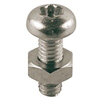 Винт для оболочек Giacomini R454DY001