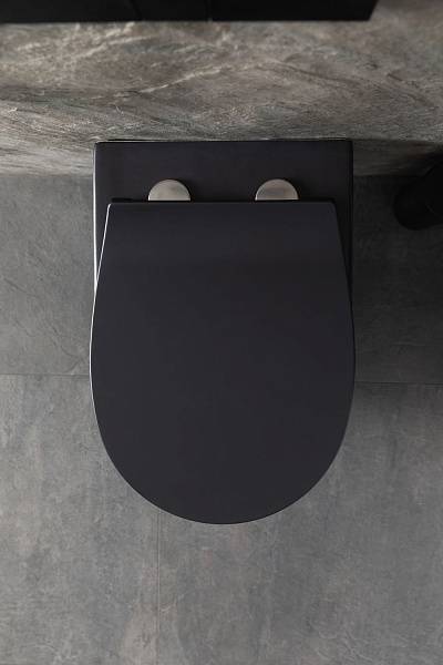 Чаша подвесного унитаза Allen Brau Reality черный 4.32006.31