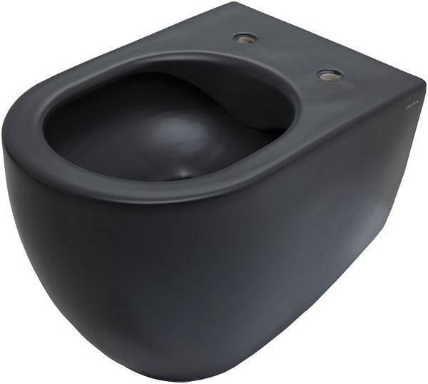 Чаша подвесного унитаза Allen Brau Reality черный 4.32006.31