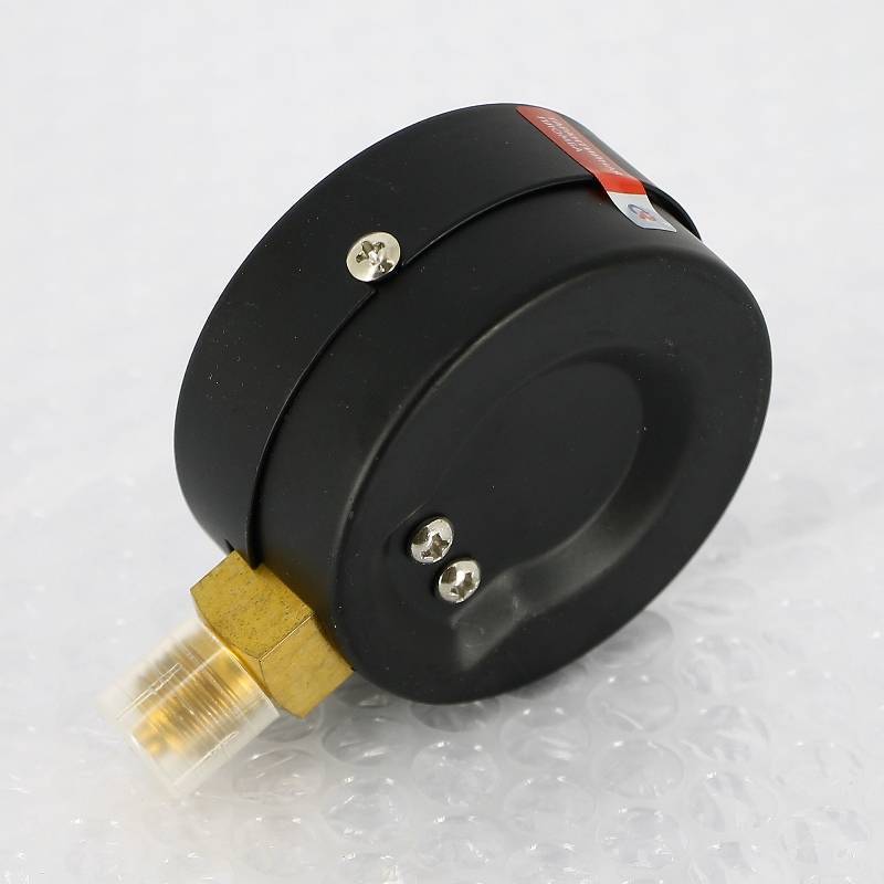 Манометр радиальный Росма ТМ-310Р.00 63 мм 10 бар 1/4 00000009573