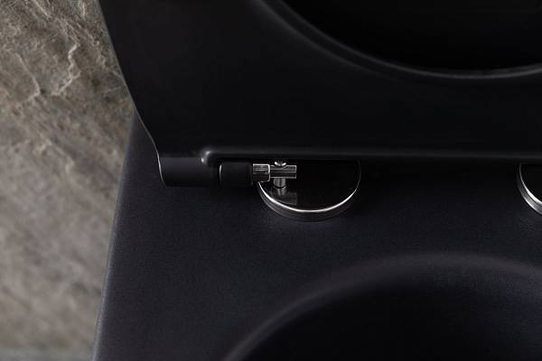 Чаша подвесного унитаза Allen Brau Reality черный 4.32006.31