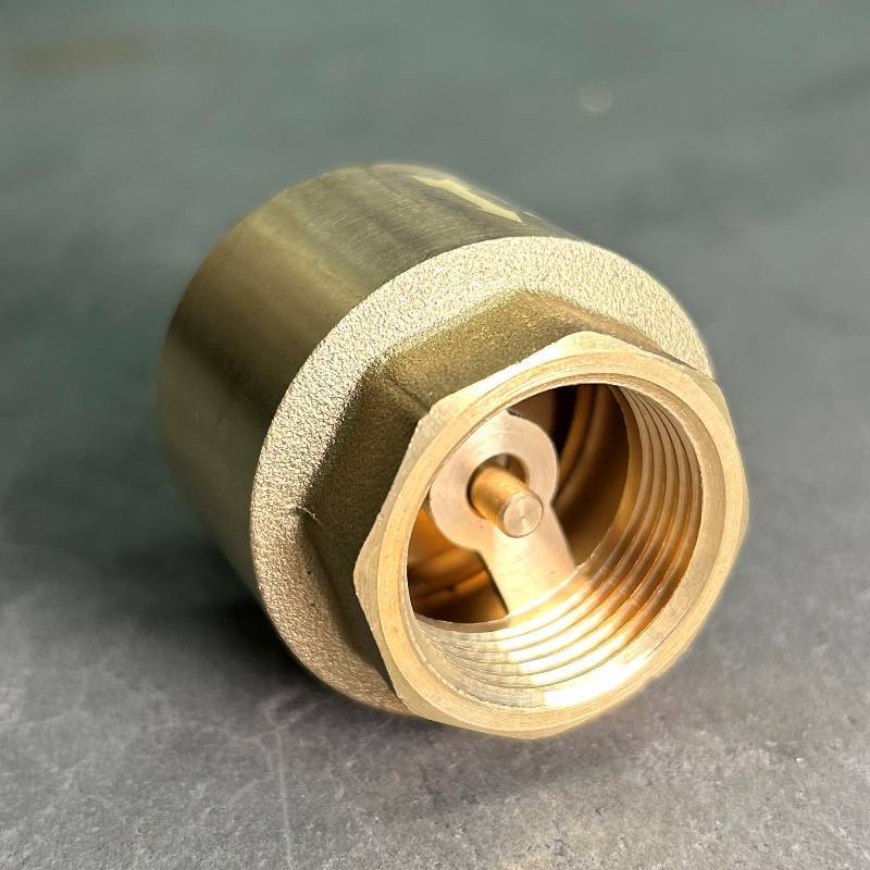 Клапан обратный STOUT пружинный с латунным затвором 3/4 ВВ CV201002