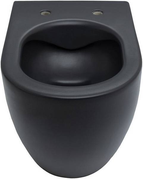 Чаша подвесного унитаза Allen Brau Reality черный 4.32006.31