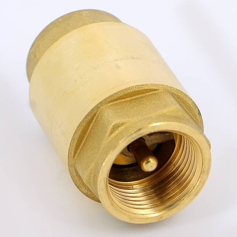 Клапан обратный пружинный ITAP EUROPA 100 1 с металлическим затвором 1000100