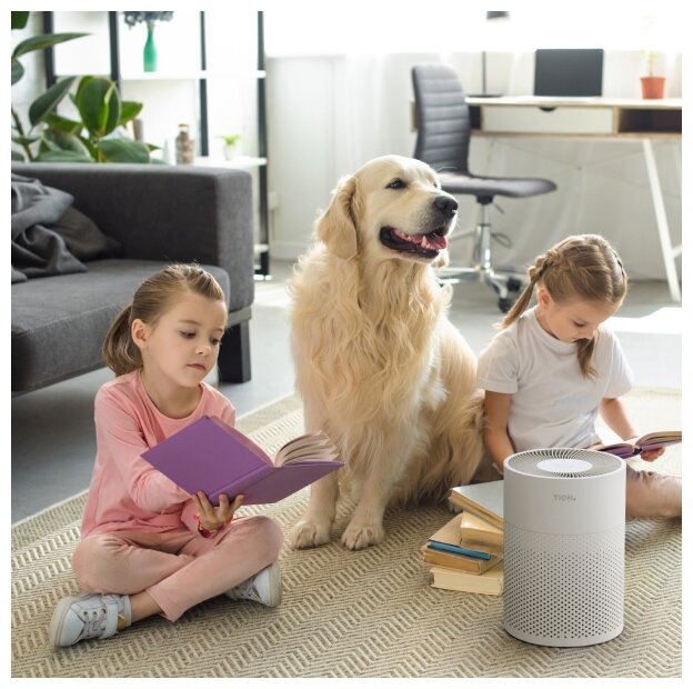 Очиститель воздуха Tion IQ 100 белый IQ 100