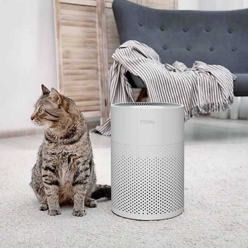 Очиститель воздуха Tion IQ 100 белый IQ 100