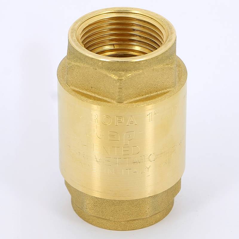 Клапан обратный пружинный ITAP EUROPA 100 1 с металлическим затвором 1000100