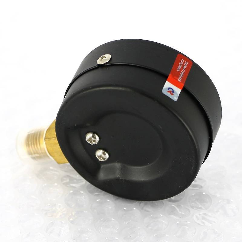 Манометр радиальный Росма ТМ-310Р.00 63 мм 10 бар 1/4 00000009573