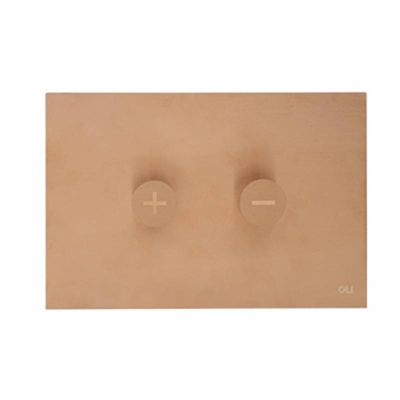 Кнопка смыва OLI Trumpet пневматическая нержавеющая сталь бронза 878784