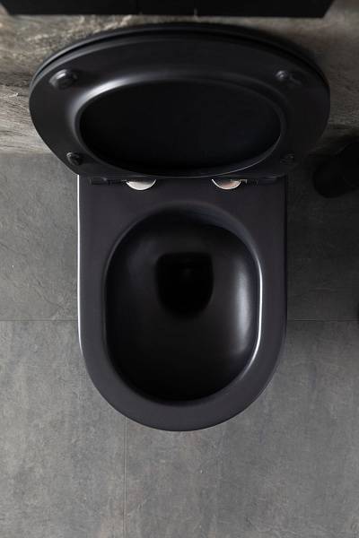 Чаша подвесного унитаза Allen Brau Reality черный 4.32006.31