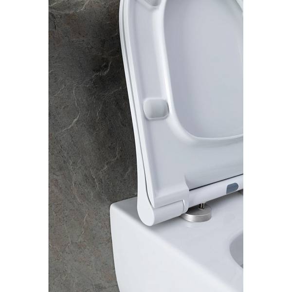 Унитаз подвесной Allen Brau Priority 2 Rimless 49x36 см белый 4.31002.20