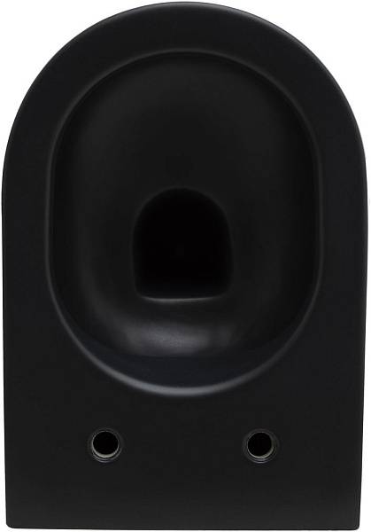 Чаша подвесного унитаза Allen Brau Reality черный 4.32006.31