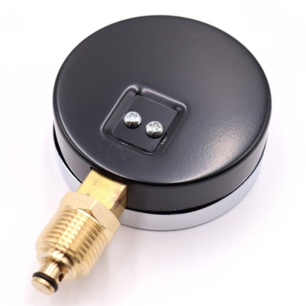 Термоманометр радиальный Vieir 80 мм 6 бар 1/2 YE6